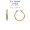Gold 20mm Stainless Steel Hoops Earrings