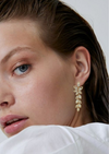 Stunning White CZ Drop Dangle Long Statement Earrings in Brass