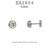 6mm Round Cubic Zirconia Stainless Steel Screw Back Stud Earrings