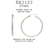 Stainless Steel Hoop Cubic Zirconia Earrings